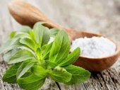 Saksılık Stevia Tohumu Ekim Seti - 3