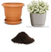 Yayılıcı Papatya Tohumu Ekim Seti thumbnail 1