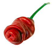 Nadir İthal Kırmızı Acı Biber Tohumu 5 Adet Tohum thumbnail 1