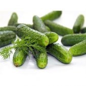 Kıtır Turşuluk Kornişon Salatalık Tohumu 10 Adet Tohum - 1