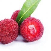 Tropikal Çin Çileği Tohumu 2 Adet Tohum Myrica Çilek - 1