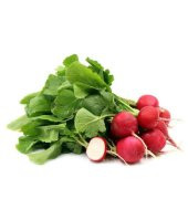 Kırmızı Fındık Turp Tohumu 50 Adet Tohum - 1