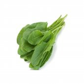 Kuzu Kulağı Koç Kulağı Ekşiotu Tohumu 100 Adet Tohum thumbnail 1