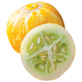Nadir İthal Limon Salatalık Tohumu 5 Adet Tohum Sarı Salatalık Lemon Cucumber - 1