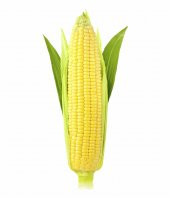 Haşlamalık Süt Mısır Tohumu 15 Adet Tohum - 1