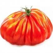 Nadir İthal Antik Domates Tohumu 10 Adet Tohum - 1