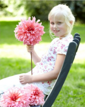 Karışık Nadir İthal Dev Dahlia Çiçeği Tohumu 5 Adet Tohum thumbnail 1