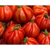 Nadir İthal Antik Domates Tohumu 10 Adet Tohum - 2