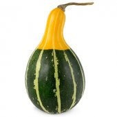 Sarı Yeşil Kabak Tohumu 5 Adet Tohum Süs Kabağı - 1