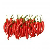 İthal Çok Acı Macar Biberi Tohumu 10 Adet Tohum Macar Biber Tohumu thumbnail 5