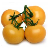Nadir İthal İri Turuncu Domates Tohumu 5 Adet Tohum thumbnail 1