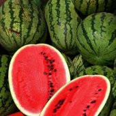 Meşhur Diyarbakır Karpuzu Tohumu 5 Adet Tohum Karpuz Tohumu - 2