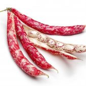 Eko Paket 250 Adet Tohum Oturak Barbunya Tohumu Fasulye Tohumu thumbnail 1