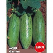 Yeşil Badem Çin Acur Tohumu 10 Adet Tohum Çin Acuru Tohumu - 3