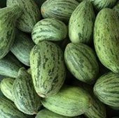 Yeşil Badem Çin Acur Tohumu 10 Adet Tohum Çin Acuru Tohumu - 4