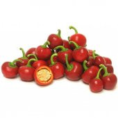 Süper Paket 250 Adet Tohum Nadir İthal Cherry Kiraz Biberi Tohumu Biber Tohumu thumbnail 3