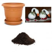 Nadir Kuğu Su Kabağı Tohumu Ekim Seti thumbnail 1