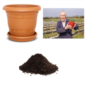 İthal Dev Çilek Tohumu Ekim Seti thumbnail 1