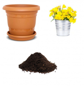 Nadir Ezan Çiçeği Tohumu Ekim Seti - 1