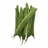 Meşhur İstanbul Ayşe Kadın Fasulye Tohumu Ekim Seti 15 Tohum Saksı Toprak Kombin thumbnail 1