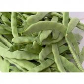 Meşhur İstanbul Ayşe Kadın Fasulye Tohumu Ekim Seti 15 Tohum Saksı Toprak Kombin thumbnail 3