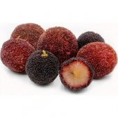 İthal Tropikal Çin Çileği Tohumu Myrica Tohumu Çin Çileği Meyvesi 2 Tohum - 1