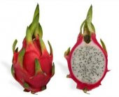 Bodur Pitaya Meyvesi Tohumu 10 Tohum Pitaya Tohumu Saksılık Toprak Kombin Ekim Seti - 2