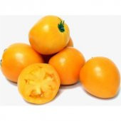Nadir İthal Turuncu Cherry Domates Tohumu Ekim Seti 5 Tohum Saksı Toprak Kombin - 3