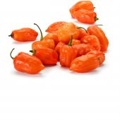Nadir İthal Çok Acı Habanero Biber Tohumu 5 Tohum Biber Tohumu - 2