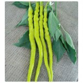 Süper Paket 300 Tohum Acı Golden Cayenne Biber Tohumu Sarı Sivri Biber - 3