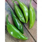 Nadir Balık Biber Tohumu Ekim Seti 10 Tohum Balık Biberi Tohumu Saksı Toprak Kombin - 2