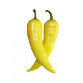 Eko Paket 150 Tohum Sarı Stone Turşuluk Biber Tohumu thumbnail 1