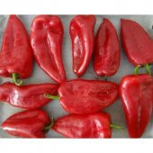 Közlemelik Kırmızı Biber Tohumu Ekim Seti Tatlı Biber Tohumu 20 Tohum Saksı Toprak Kombin - 4