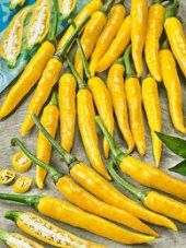 Eko Paket 150 Tohum Sarı Stone Turşuluk Biber Tohumu thumbnail 2