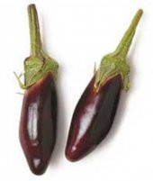 Nadir İthal Thailand Minyatür Kemer Patlıcan Tohumu Ekim Seti 5 Tohum Saksı Toprak Kombin - 2