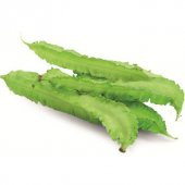 Nadir Kanatlı Fasulye Tohumu Ekim Seti 3 Tohum Fasülye Tohumu Saksı Toprak Kombin - 1