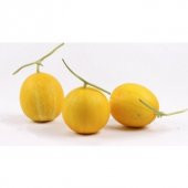 Nadir İthal Mini Sarı Kabak Tohumu 5 Tohum thumbnail 3