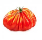 Nadir Dev İtalyan Pileli Domates Tohumu 5 Tohum Antik Domates - 1