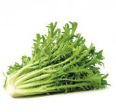 Hindibağ Tohumu Ekim Seti 50 Tohum Hindibağı Tohumu Hindiba Tohumu Saksı Toprak Kombin - 1