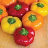 Saksılık Nadir Peynir Biberi Tohumu Biber Tohumu 5 Tohum - 3