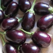 Meşhur Adana Patlıcanı Tohumu Ekim Seti 20 Tohum Patlıcan Tohumu Saksı Toprak Kombin - 2