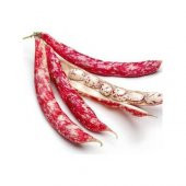 Oturak Barbunya Tohumu 15 Tohum Fasulye Tohumu Fasülye Tohumu - 1