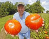 Nadir İthal Dev Hollanda Domates Tohumu Ekim Seti 10 Tohum Saksı Toprak Kombin - 4