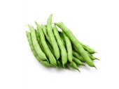 Kılçıksız Yediveren Magnum Fasulye Tohumu Ekim Seti 15 Tohum Fasülye Tohumu Saksı Toprak Kombin thumbnail 2