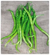 Süper Paket 400 Tohum Meşhur Sivri Acı Kıl Biber Tohumu thumbnail 3