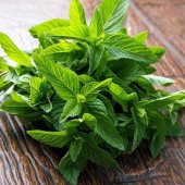 Süper Paket 500 Tohum Meşhur Mis Kokulu Nane Tohumu - 3