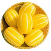 Nadir Kore Kavunu Tohumu Ekim Seti Kavun Tohumu 5 Tohum Saksı Toprak Kombin thumbnail 1