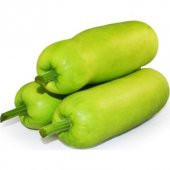 Nadir Çin Kavunu Tohumu Ekim Seti Wax Guard 3 Tohum Saksı Toprak Kombin - 1