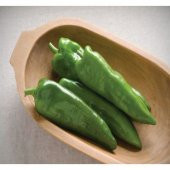 Tatlı Pat Yağlık Biber Tohumu Ekim Seti 20 Tohum Saksı Toprak Kombin thumbnail 2