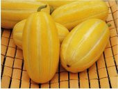 Nadir Kore Kavunu Tohumu Ekim Seti Kavun Tohumu 5 Tohum Saksı Toprak Kombin thumbnail 3